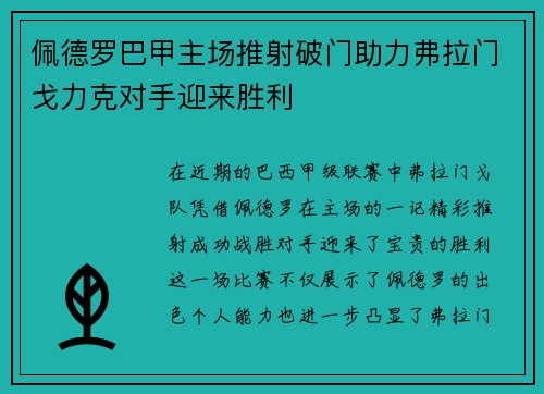 佩德罗巴甲主场推射破门助力弗拉门戈力克对手迎来胜利 佩德罗巴甲主场推射破门助力弗拉门戈力克对手迎来胜利